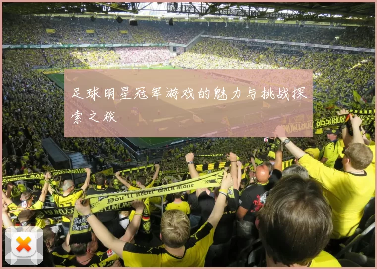 足球明星冠军游戏的魅力与挑战探索之旅